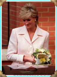 Princess Diana Tribute screenshot